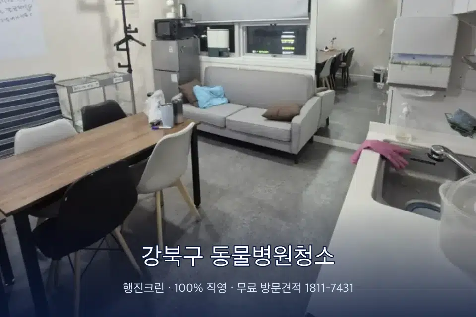 강북구 동물병원청소 병원 휴게 공간 의자 소독