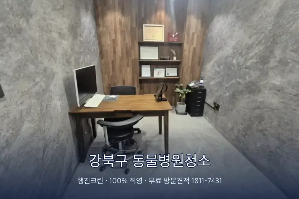 강북구 동물병원청소 원장실 책상 주변 청소